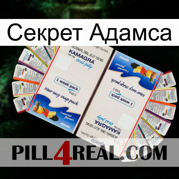 Секрет Адамса kamagra1.jpg